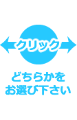 どちらかをお選び下さい